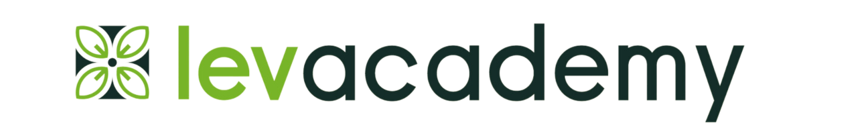 Levacademy Logotipo
